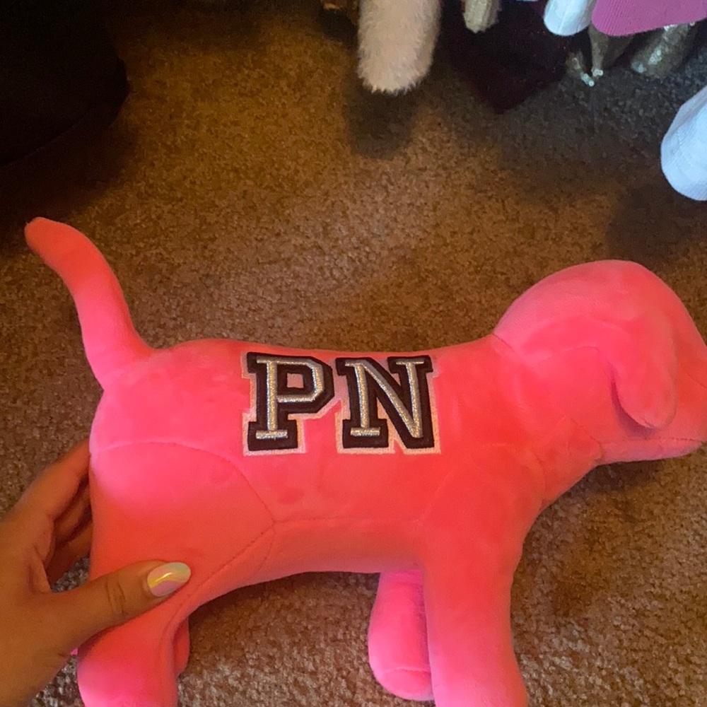 vs pink dog